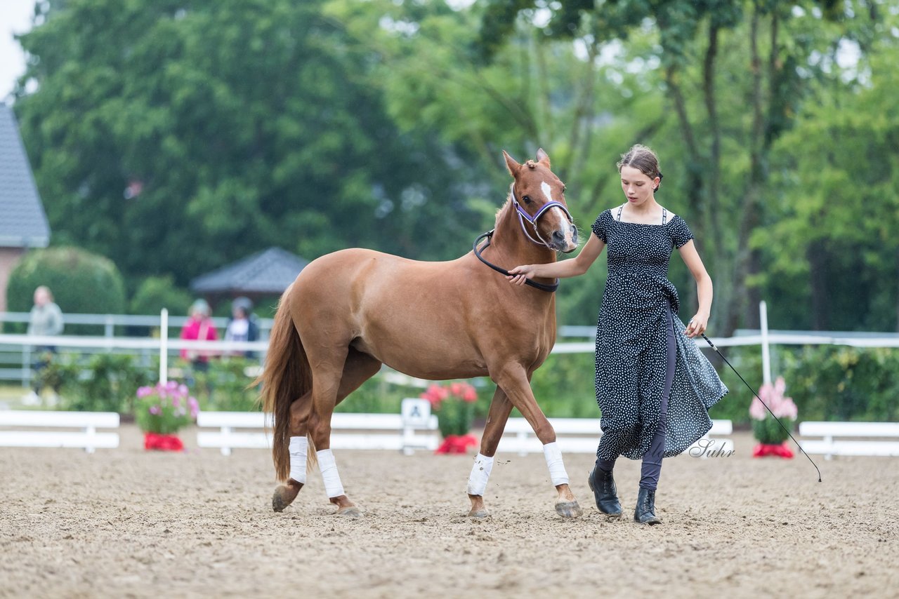 Bild 160 - Pony Akademie Turnier
